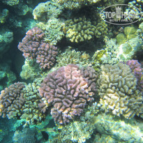 фото из отзыва ID 2742554