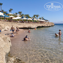 фото из отзыва ID 2742554