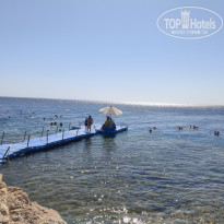 фото из отзыва ID 2742554