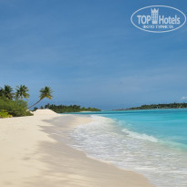 фото из отзыва ID 2742567