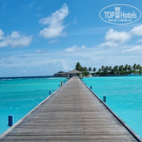 фото из отзыва ID 2742567