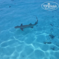 фото из отзыва ID 2742567