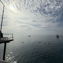 фото из отзыва ID 2742571