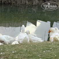 фото из отзыва ID 2742571