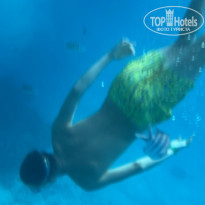 фото из отзыва ID 2742606