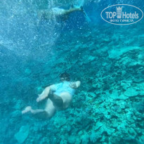 фото из отзыва ID 2742606