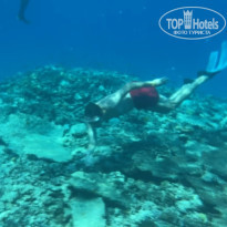 фото из отзыва ID 2742606