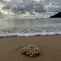 фото из отзыва ID 2742618