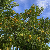 фото из отзыва ID 2742631