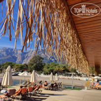 фото из отзыва ID 2742629