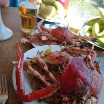 фото из отзыва ID 2742634