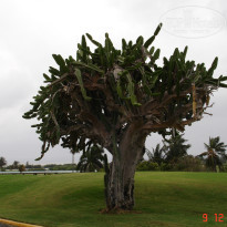 фото из отзыва ID 2742644