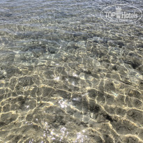 фото из отзыва ID 2742649