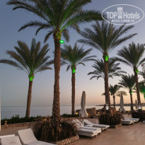 фото из отзыва ID 2742668