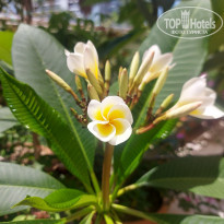 фото из отзыва ID 2742672