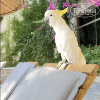 фото из отзыва ID 2742673