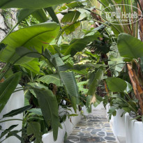 фото из отзыва ID 2742673