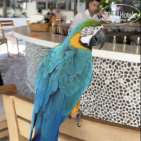 фото из отзыва ID 2742673