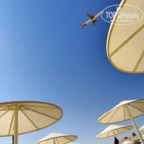 фото из отзыва ID 2742678