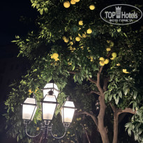 фото из отзыва ID 2742702