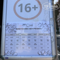 фото из отзыва ID 2742702