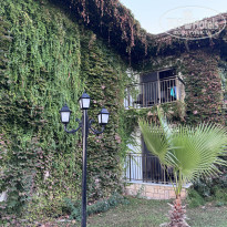 фото из отзыва ID 2742702