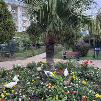 фото из отзыва ID 2742702