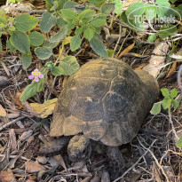 фото из отзыва ID 2742702