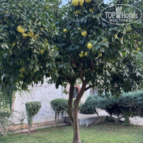 фото из отзыва ID 2742702