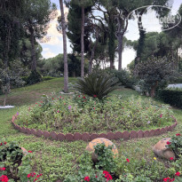 фото из отзыва ID 2742702