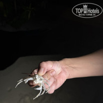 фото из отзыва ID 2742711