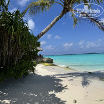 фото из отзыва ID 2742711