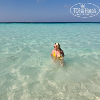 фото из отзыва ID 2742711