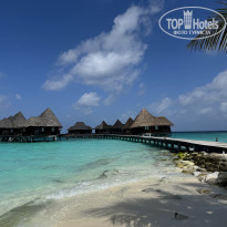 фото из отзыва ID 2742711