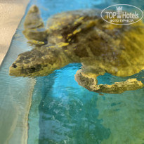 фото из отзыва ID 2742711