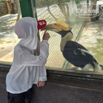 фото из отзыва ID 2742713