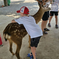 фото из отзыва ID 2742713