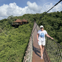 фото из отзыва ID 2742713