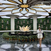 фото из отзыва ID 2742713