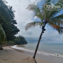 фото из отзыва ID 2742741