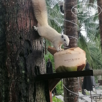 фото из отзыва ID 2742741