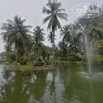 фото из отзыва ID 2742741