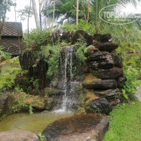 фото из отзыва ID 2742741