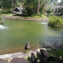 фото из отзыва ID 2742741