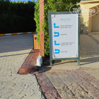 фото из отзыва ID 2742754