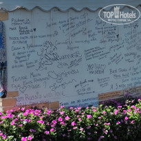 фото из отзыва ID 2742754