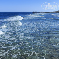 фото из отзыва ID 2742754