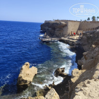 фото из отзыва ID 2742757