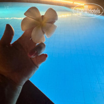 фото из отзыва ID 2742766