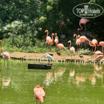 фото из отзыва ID 2742766